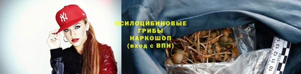 соль ск Менделеевск