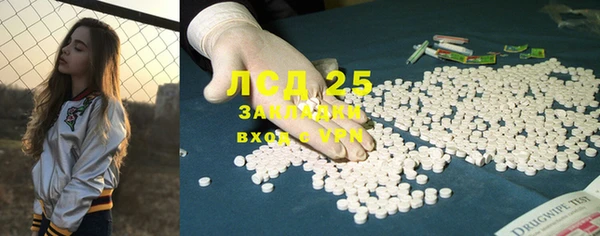 ГАЛЛЮЦИНОГЕННЫЕ ГРИБЫ Струнино