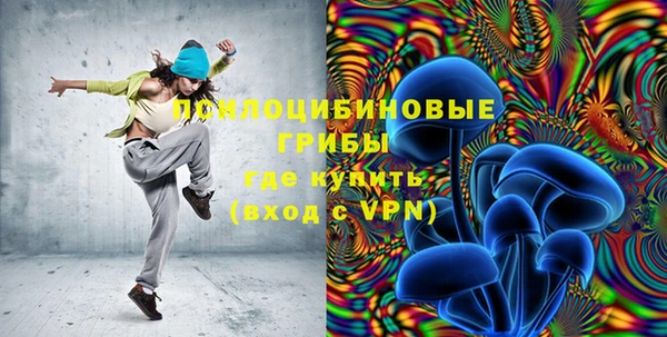 ГАЛЛЮЦИНОГЕННЫЕ ГРИБЫ Струнино